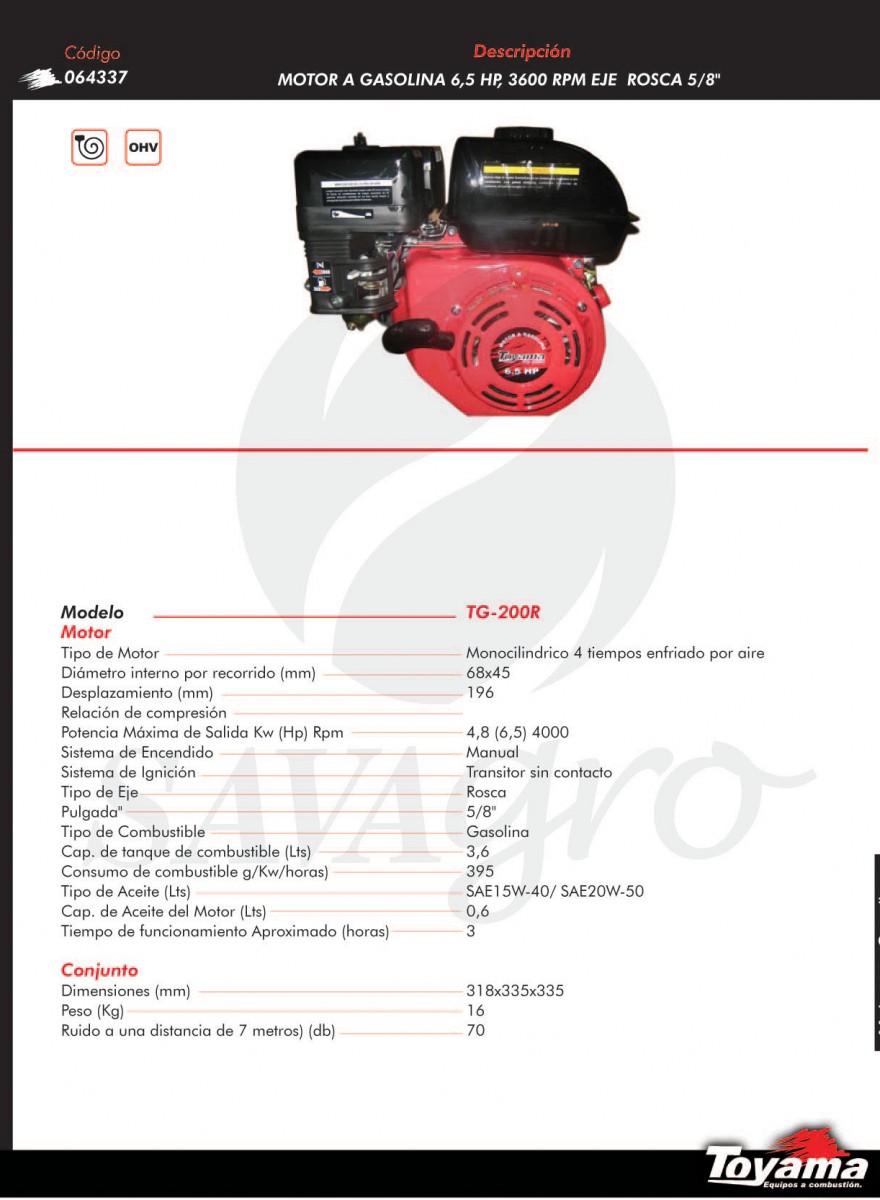 Motor a gasolina 6,5 hp TG-200R 064337